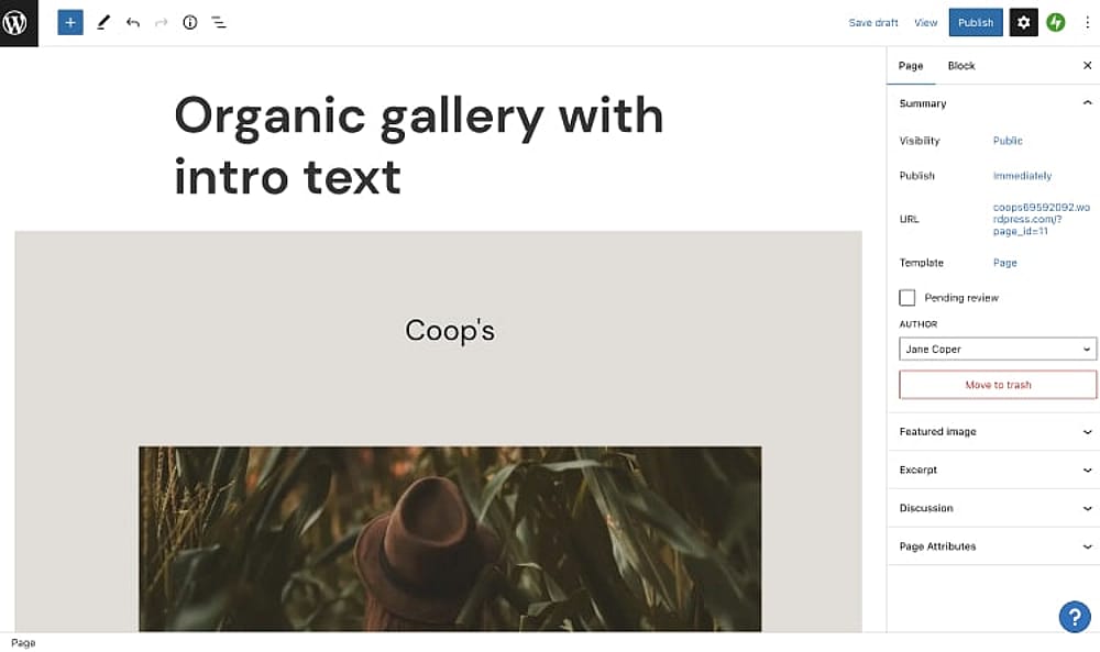 Creating a website on WordPress